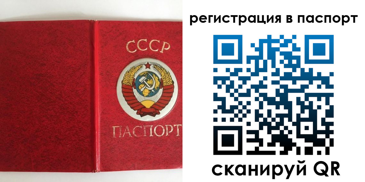 временная регистрация госуслуги в Волосово